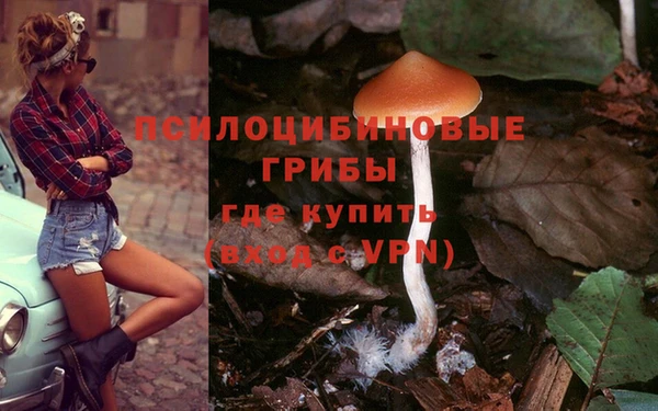 каннабис Алексеевка