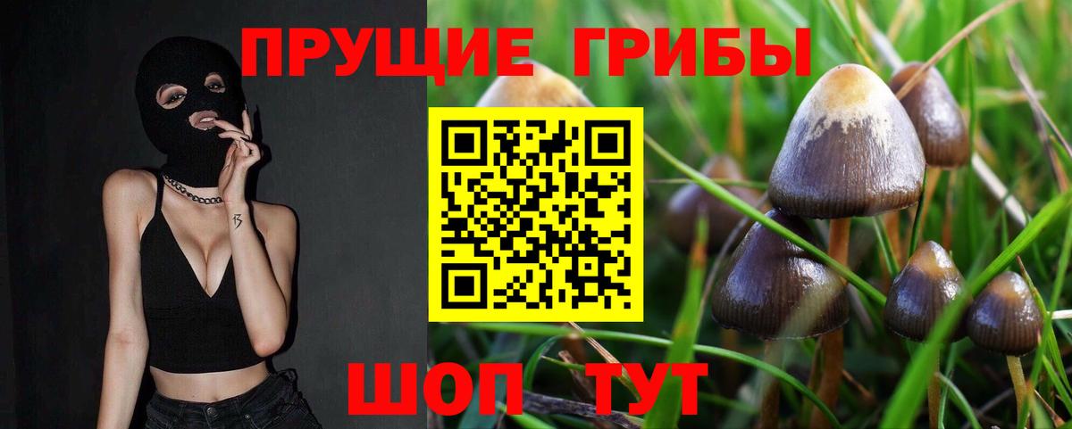 Галлюциногенные грибы Psilocybine cubensis  Вход с VPN  Урай 